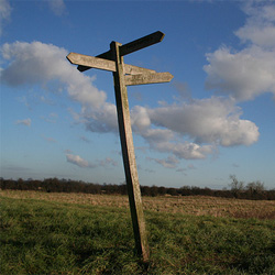 Signpost in a field